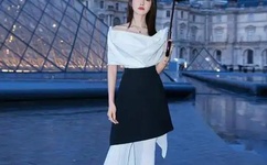 粉红色的火烈鸟图解